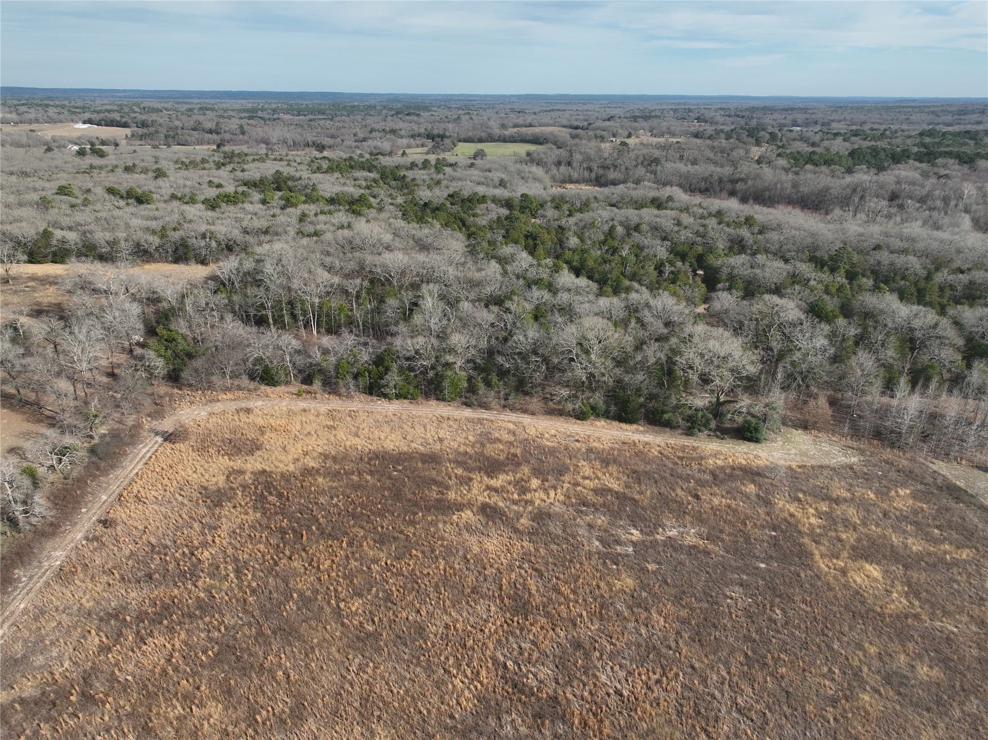34.41 acres in Wood County - photo 19