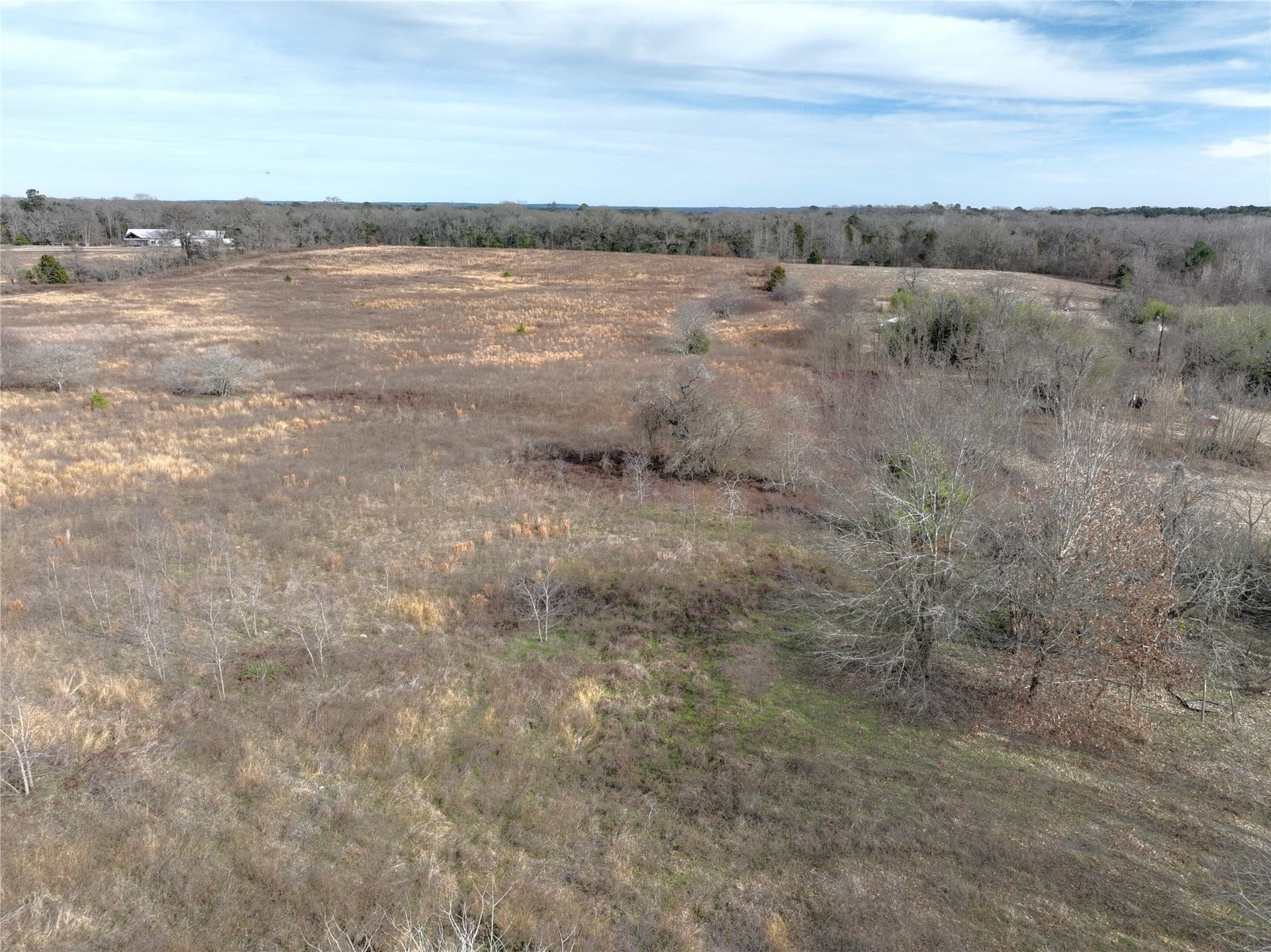 34.41 acres in Wood County - photo 6