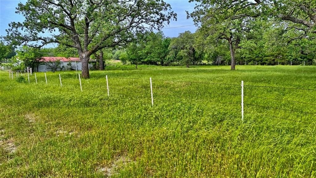 15.59 acres in Montague County gallery image 2