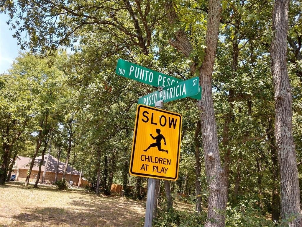 0.39 acres in Henderson County gallery image 3