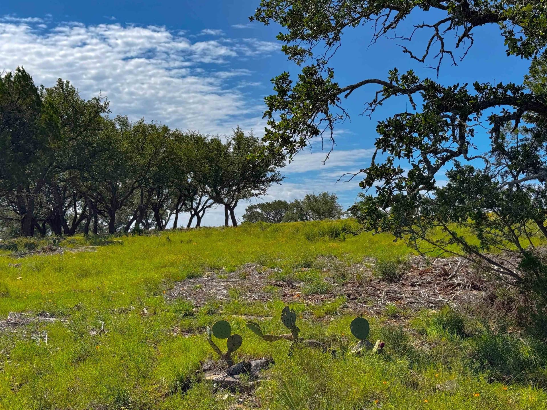 5 acres in San Saba County featured view
