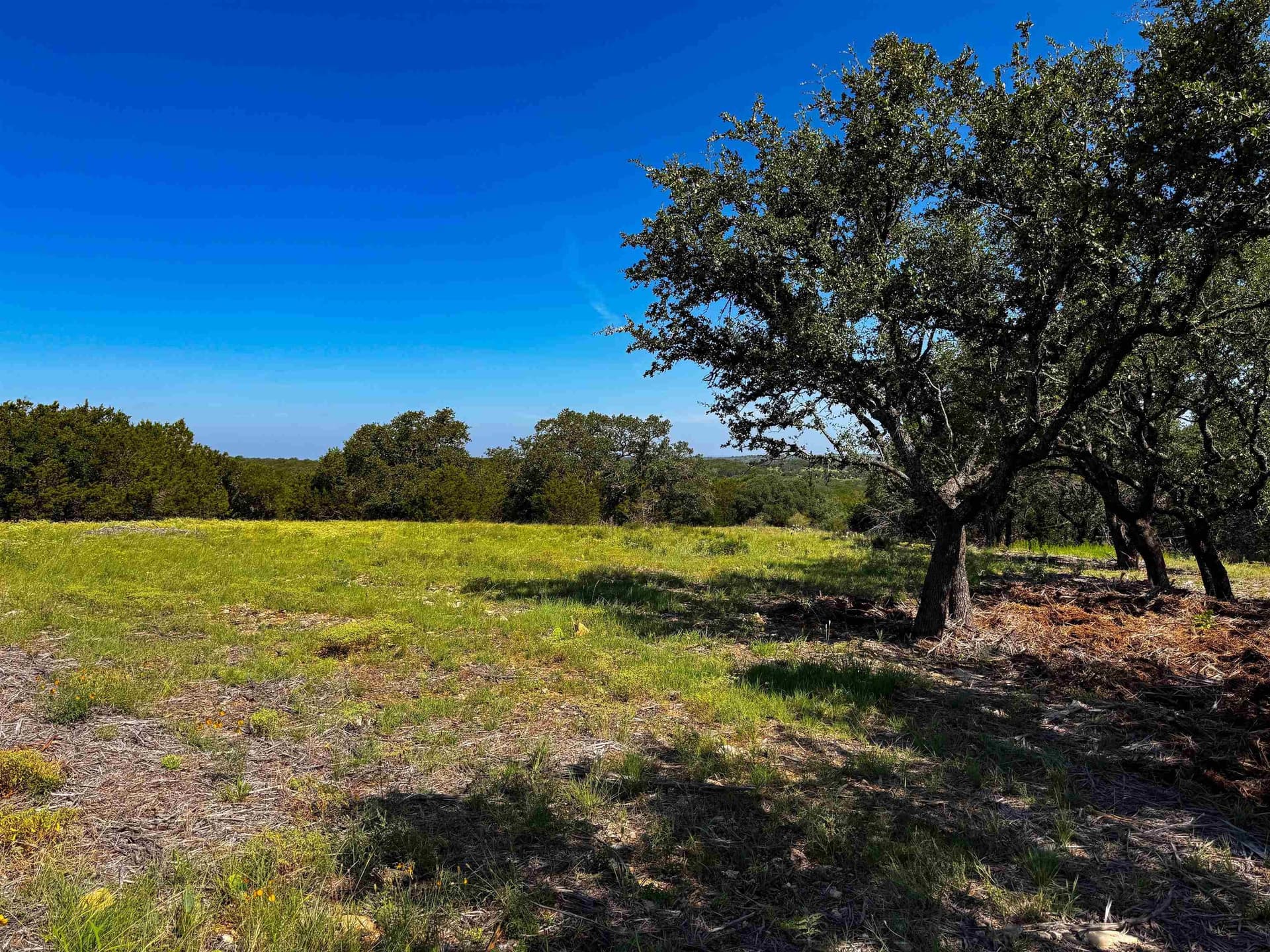 5 acres in San Saba County - photo 9