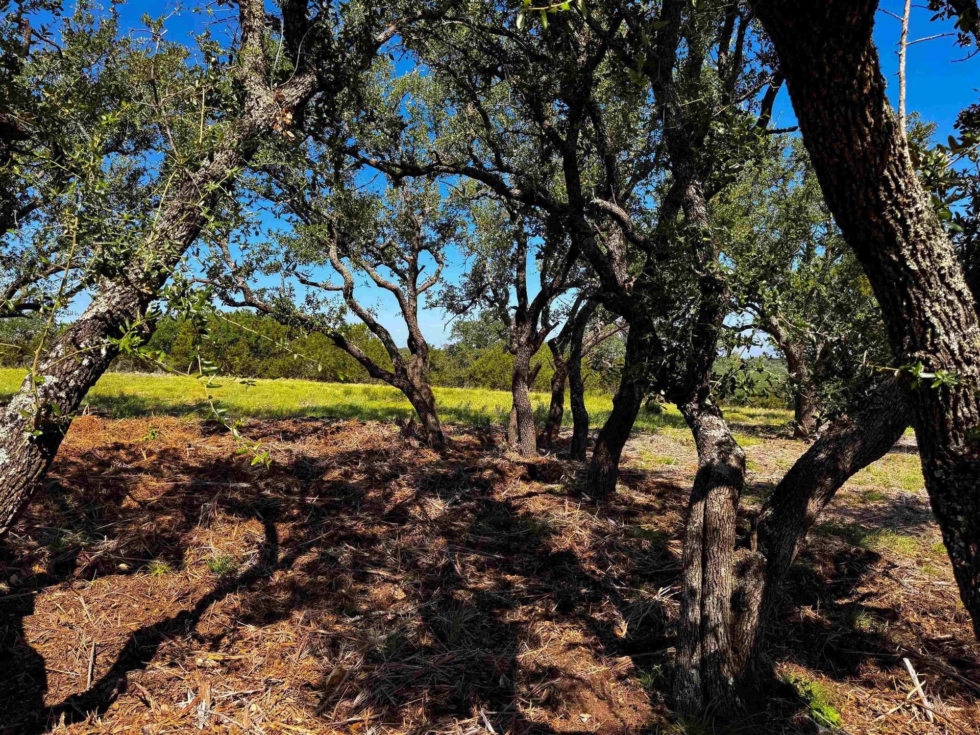 5 acres in San Saba County gallery image 2