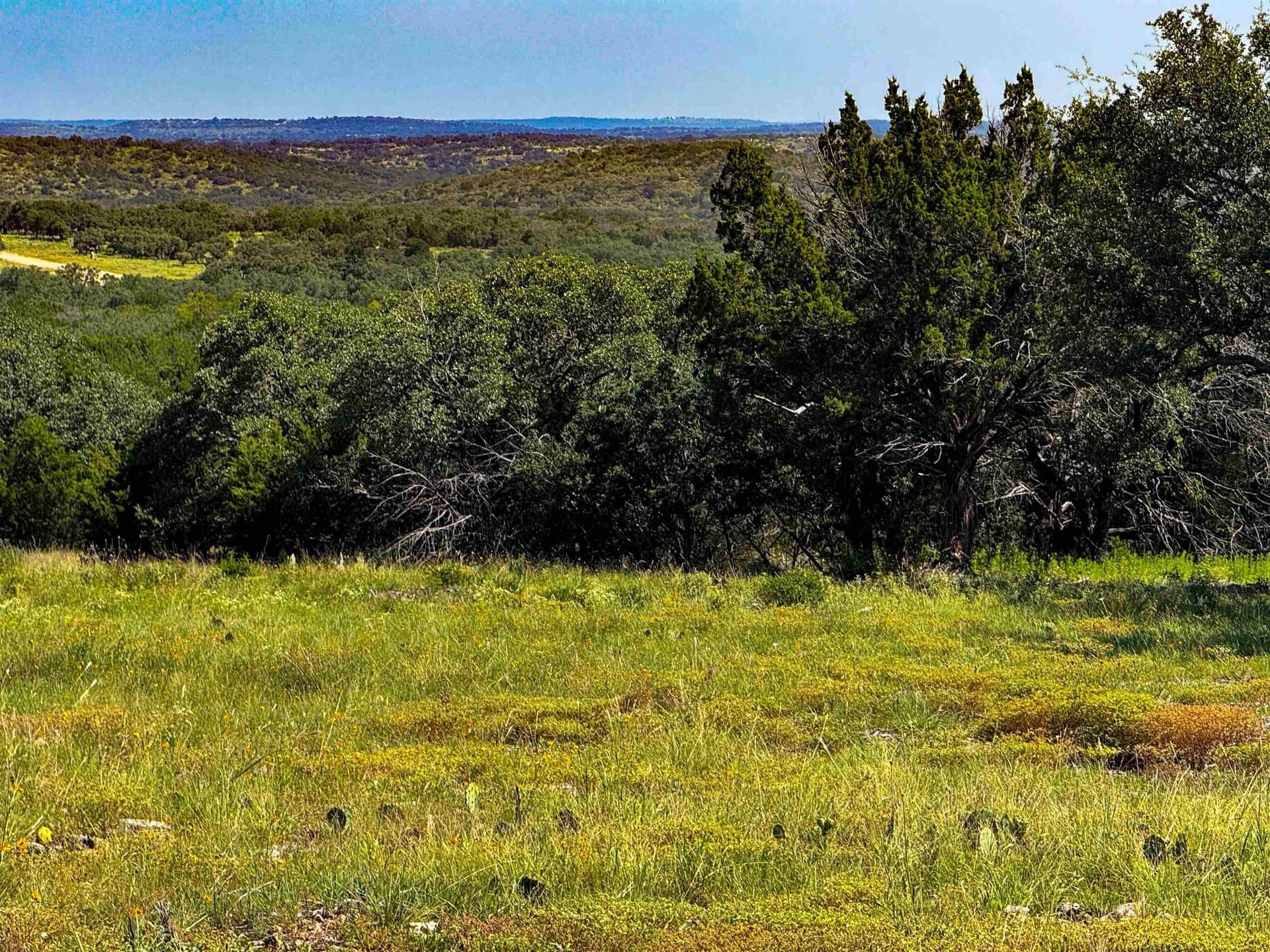 5 acres in San Saba County gallery image 4