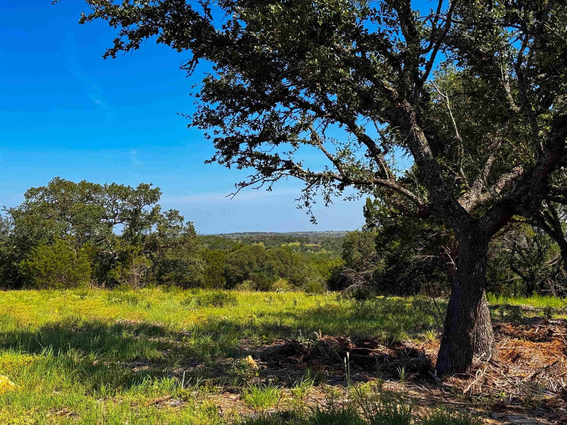5 acres in San Saba County - photo 8