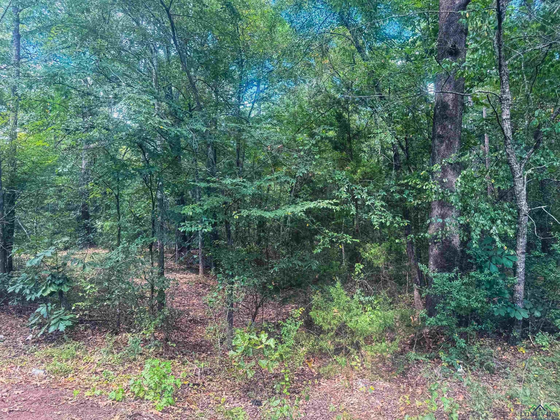 2.5 acres in Texas County featured view