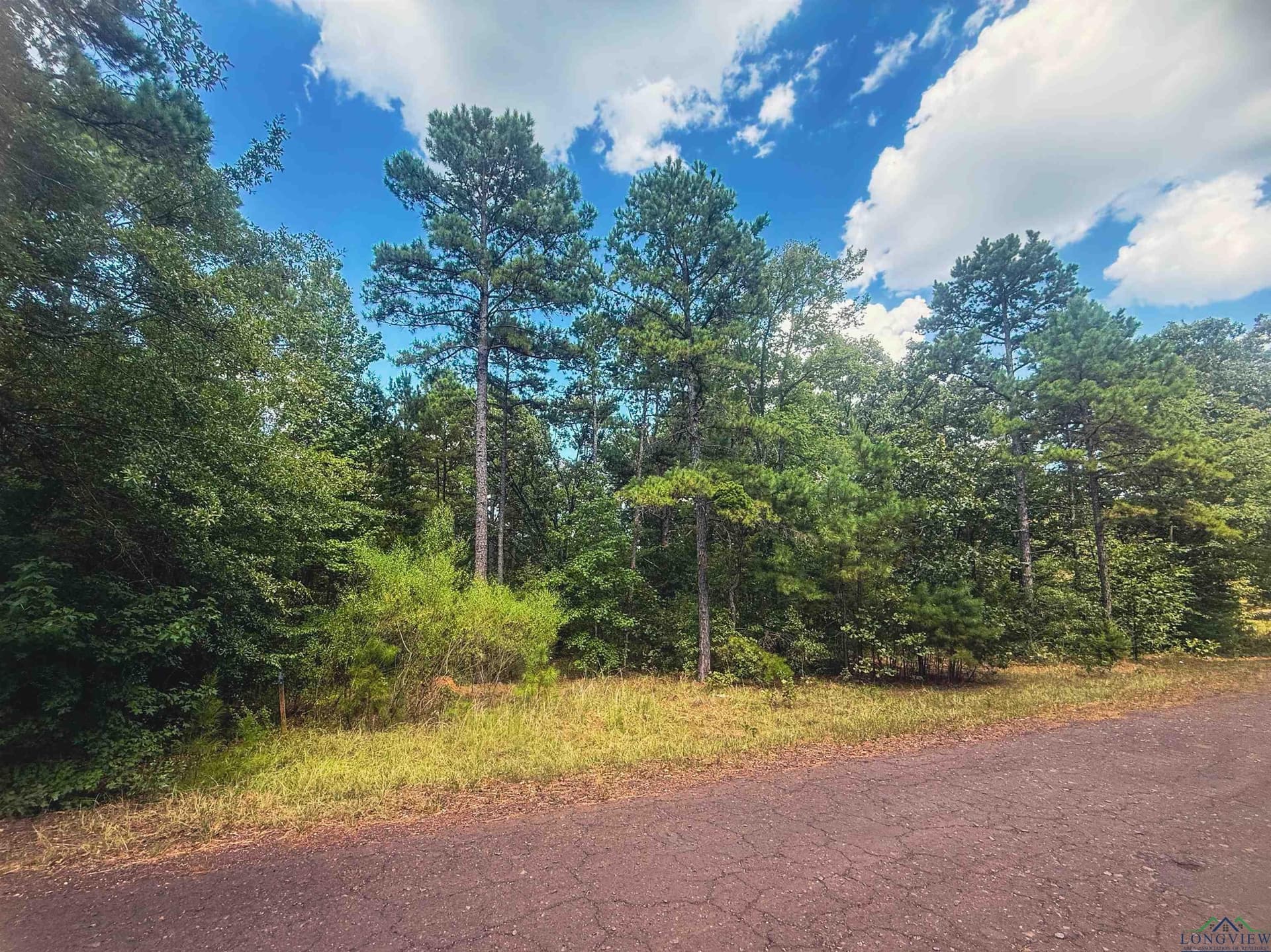 2.5 acres in Texas County gallery image 4