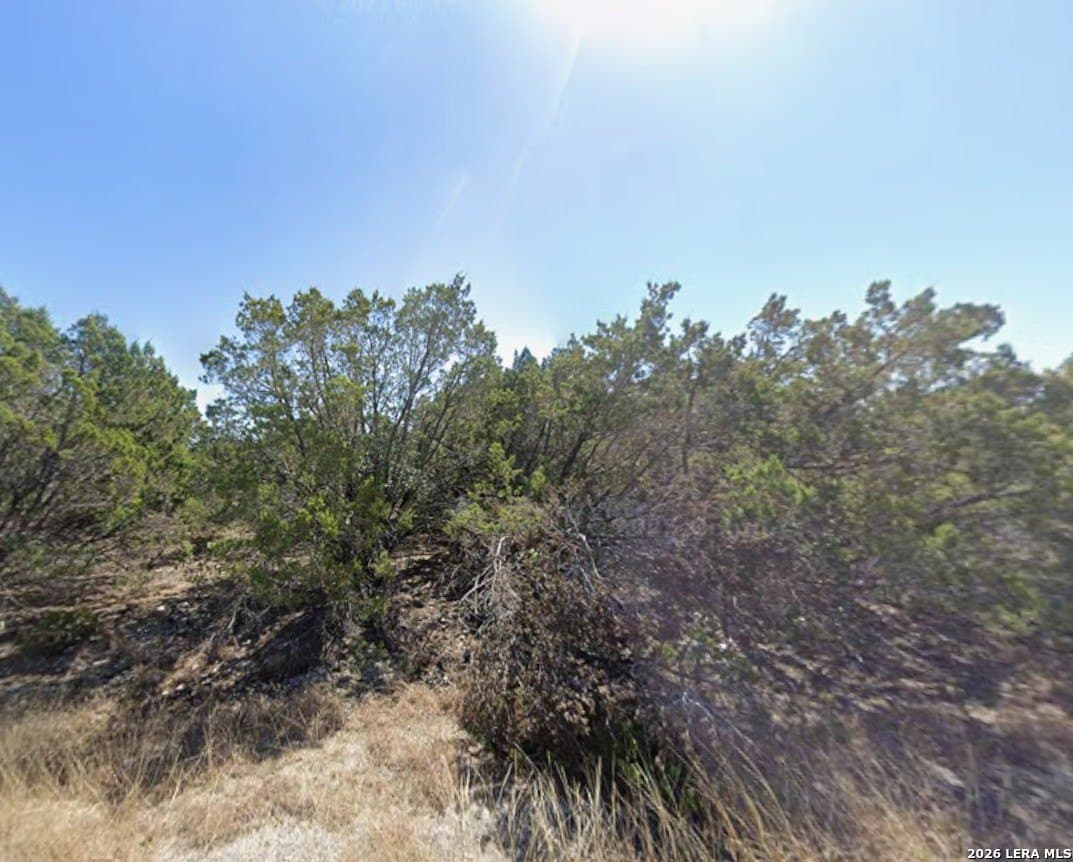 0.23 acres in Travis County gallery image 2