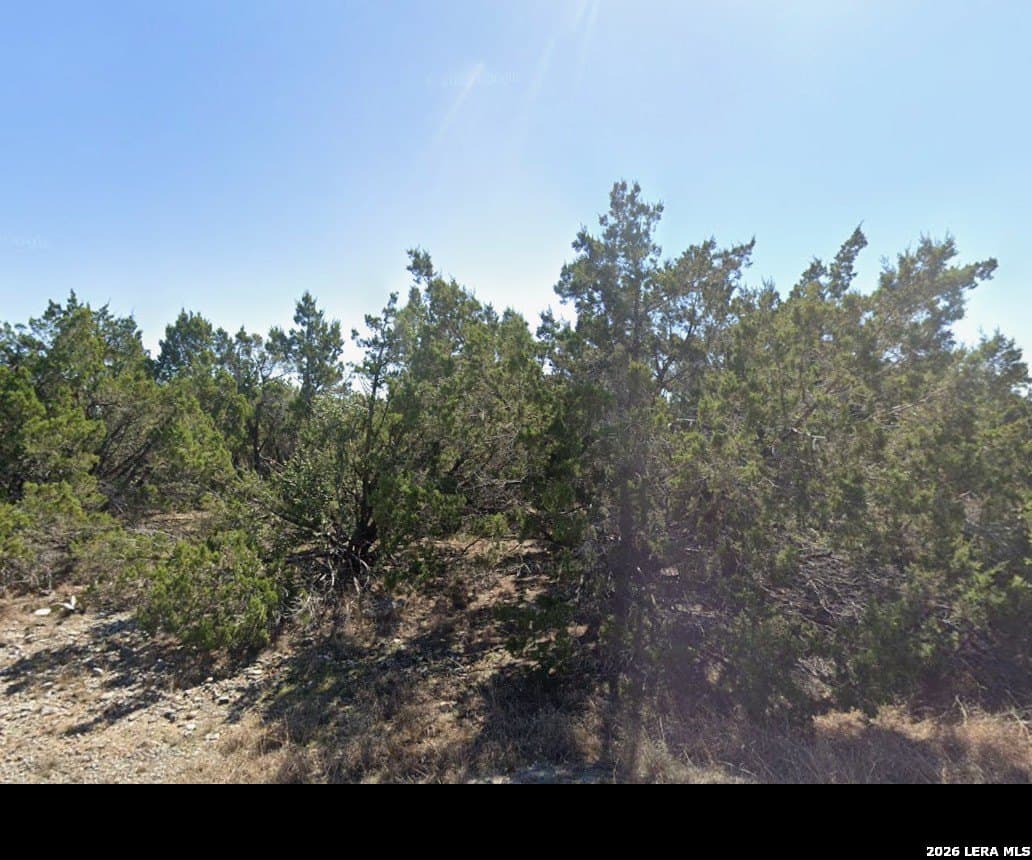 0.23 acres in Travis County gallery image 3