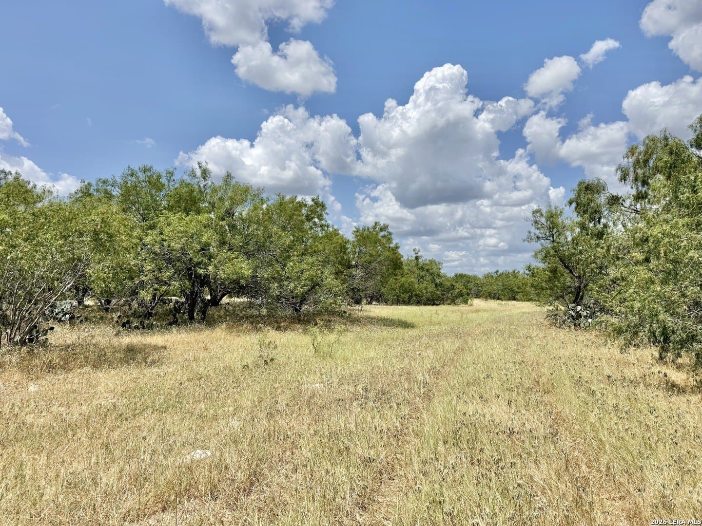 24.52 acres in Atascosa County - photo 14