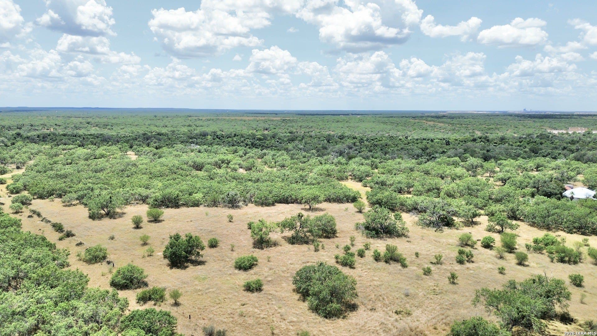 24.52 acres in Atascosa County - photo 2
