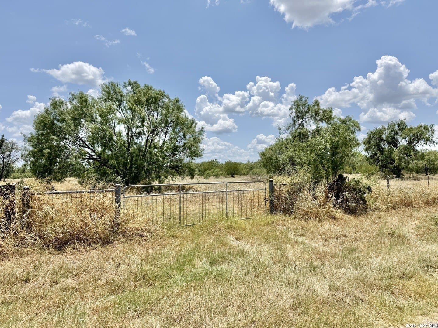 24.52 acres in Atascosa County - photo 5