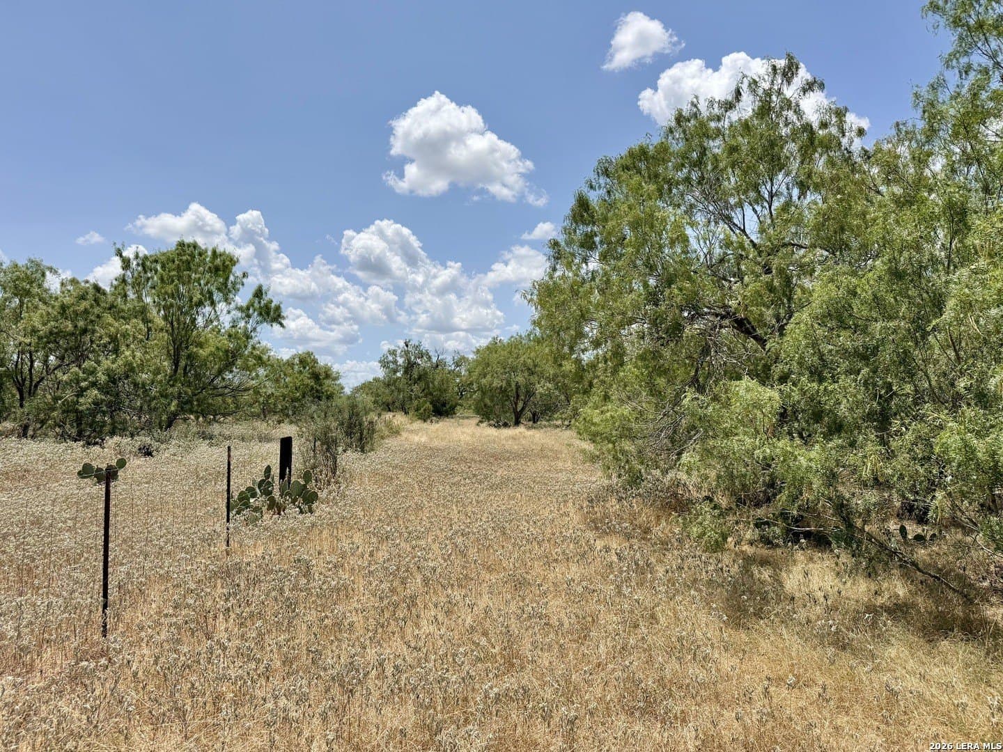 24.52 acres in Atascosa County - photo 10