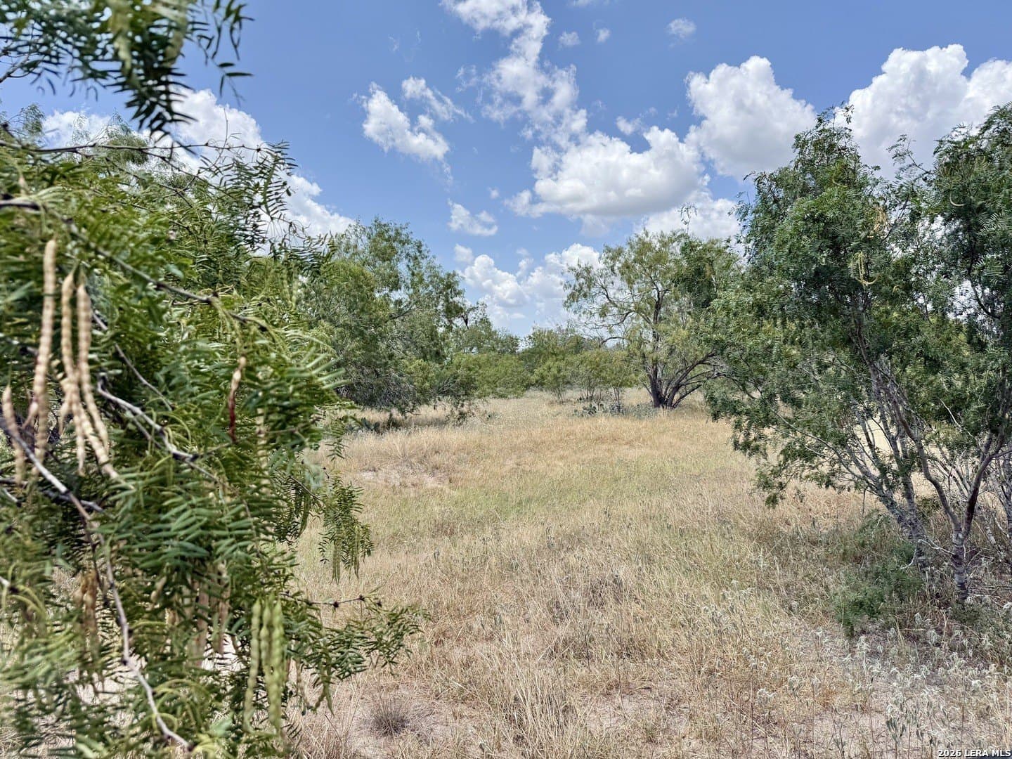 24.52 acres in Atascosa County - photo 11