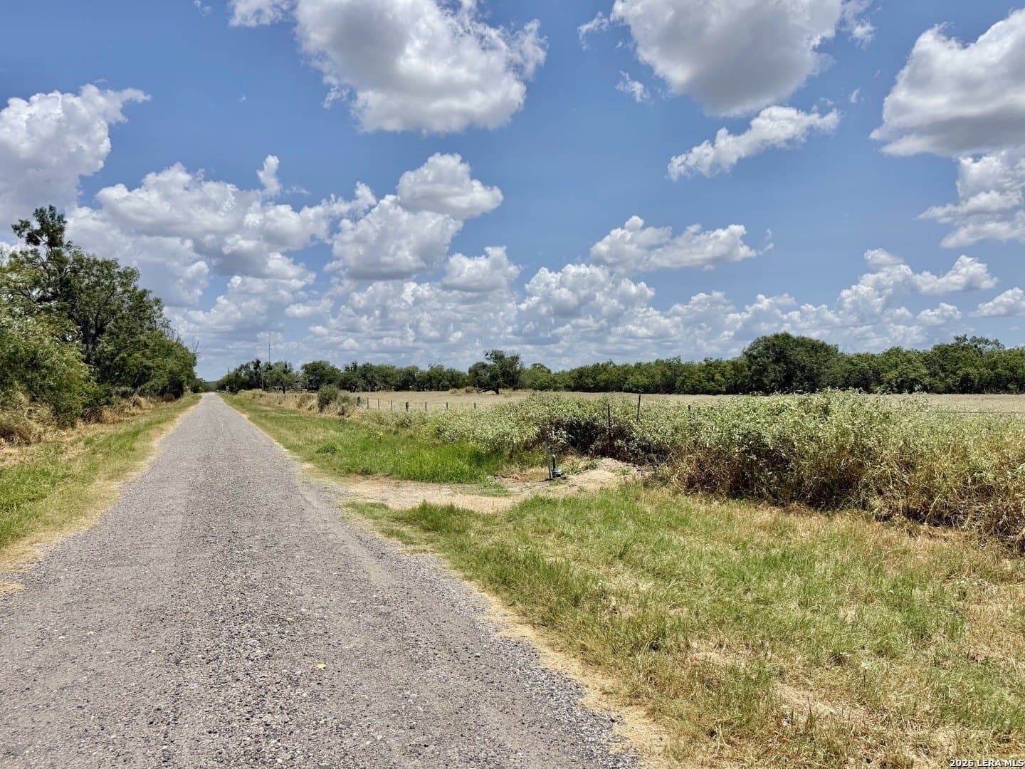 24.52 acres in Atascosa County - photo 7