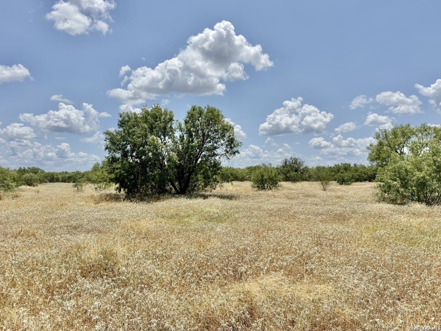 24.52 acres in Atascosa County - photo 9
