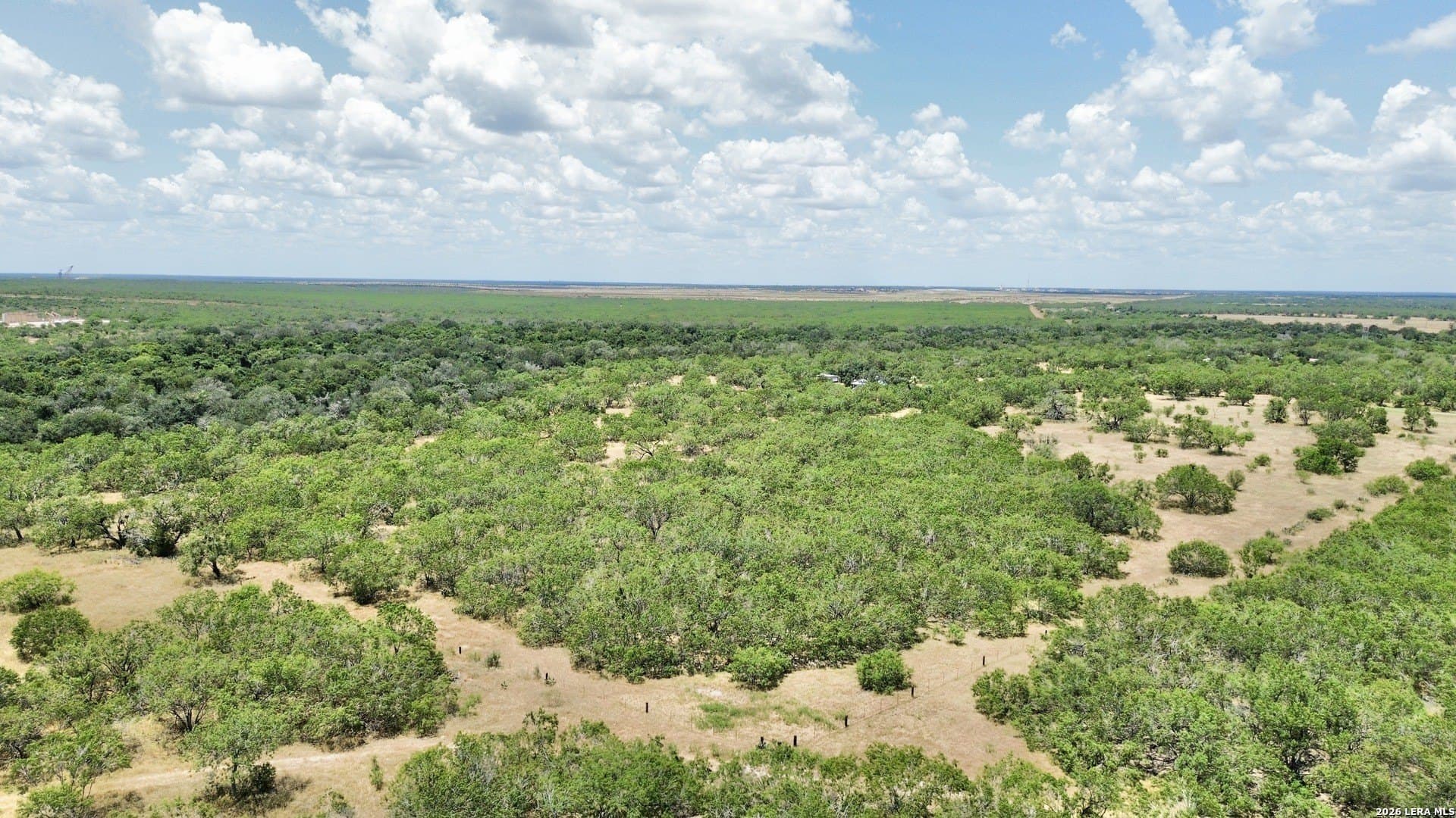 24.52 acres in Atascosa County - photo 3