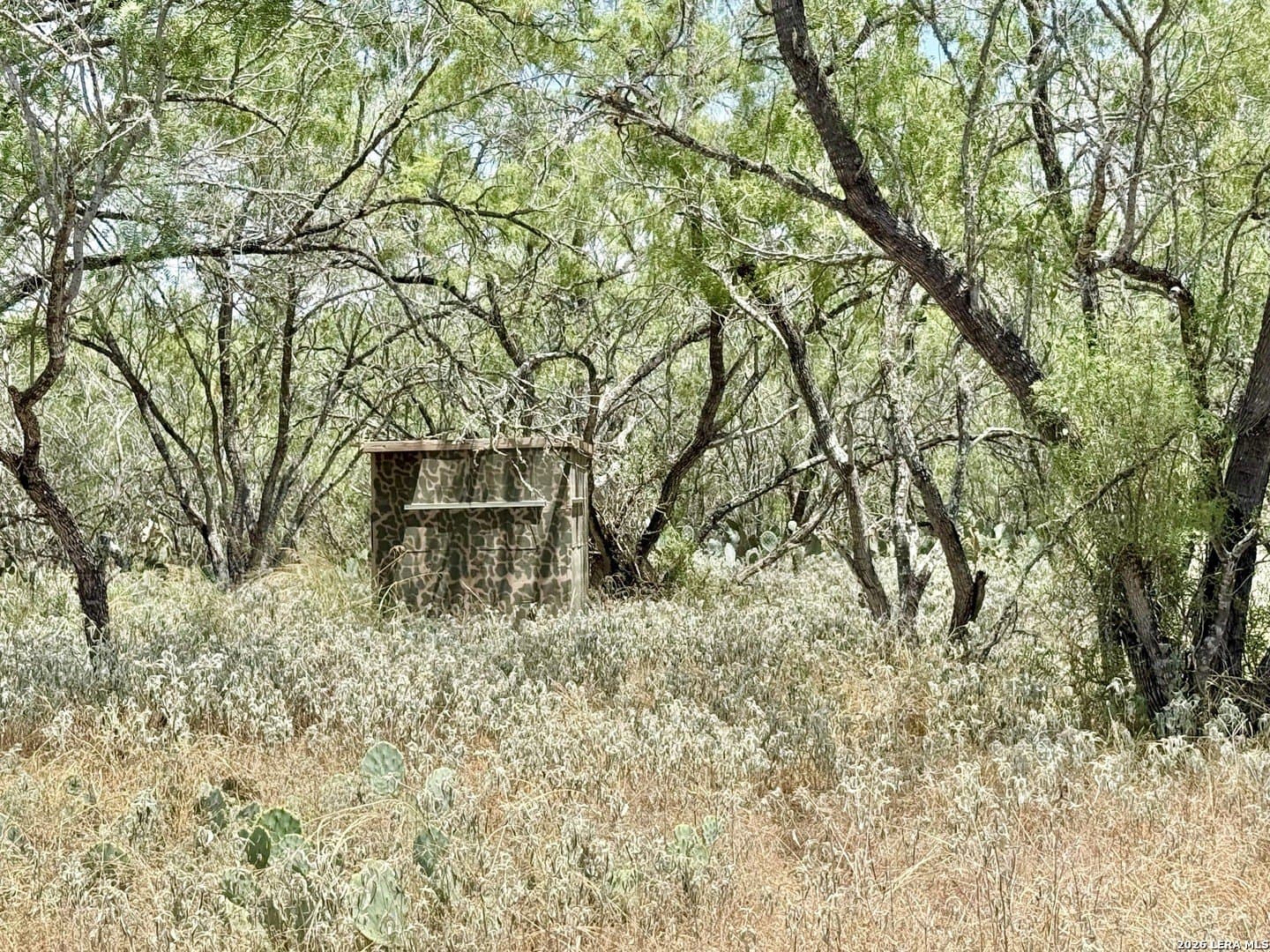 24.52 acres in Atascosa County - photo 12