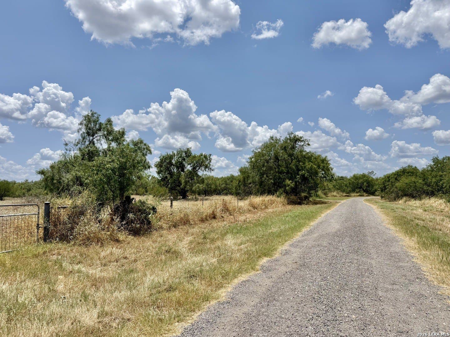 24.52 acres in Atascosa County - photo 6
