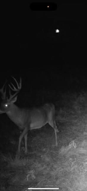 58 acres in Baylor County featured view