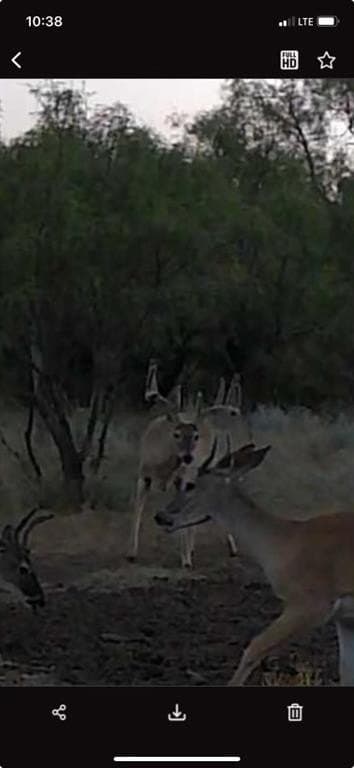 58 acres in Baylor County gallery image 4