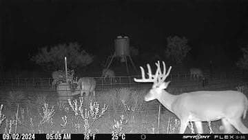 58 acres in Baylor County gallery image 3