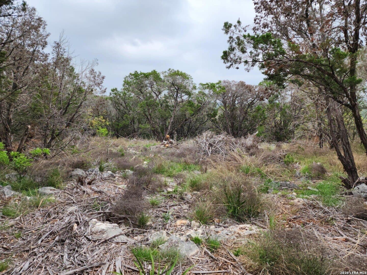 1.17 acres in Comal County - photo 10