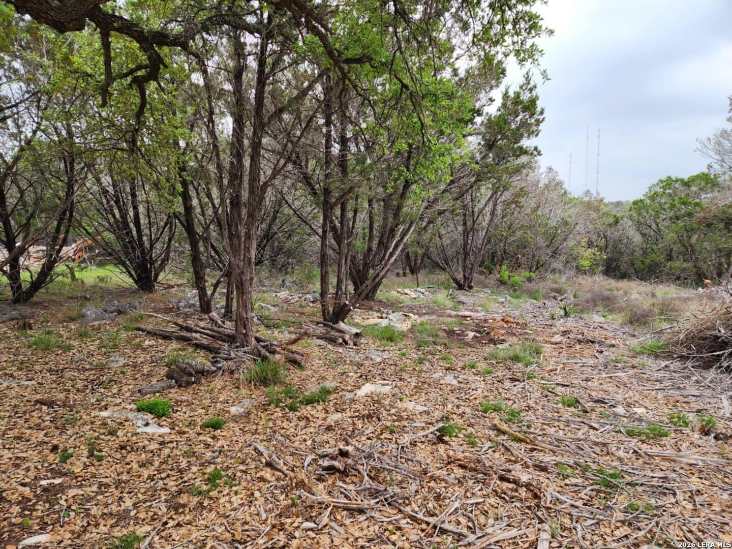 1.17 acres in Comal County - photo 6