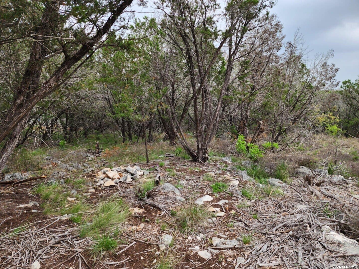 1.17 acres in Comal County - photo 5