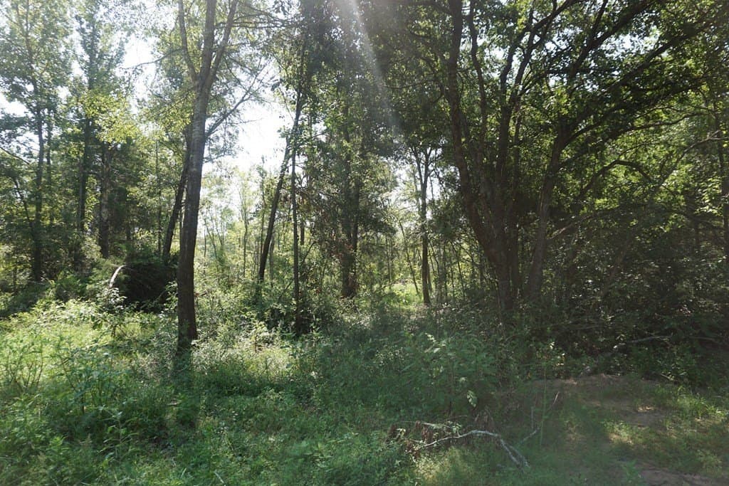 5.07 acres in ANDERSON County - photo 7