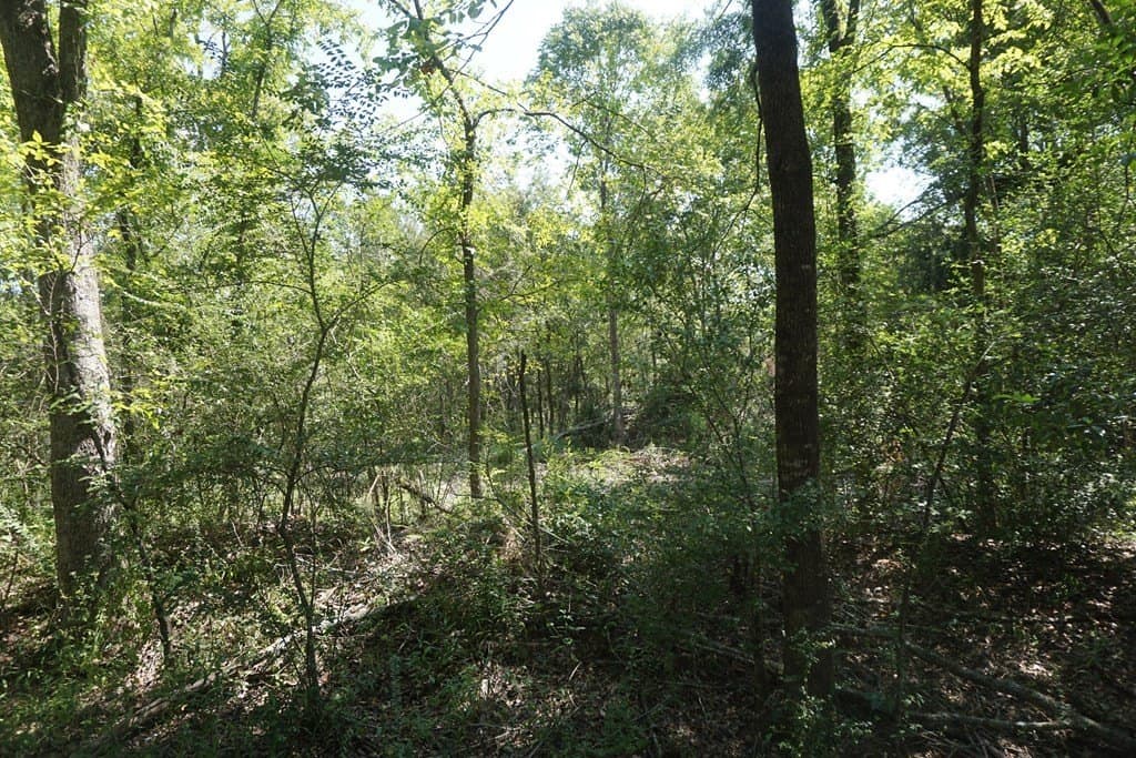 5.07 acres in ANDERSON County - photo 9