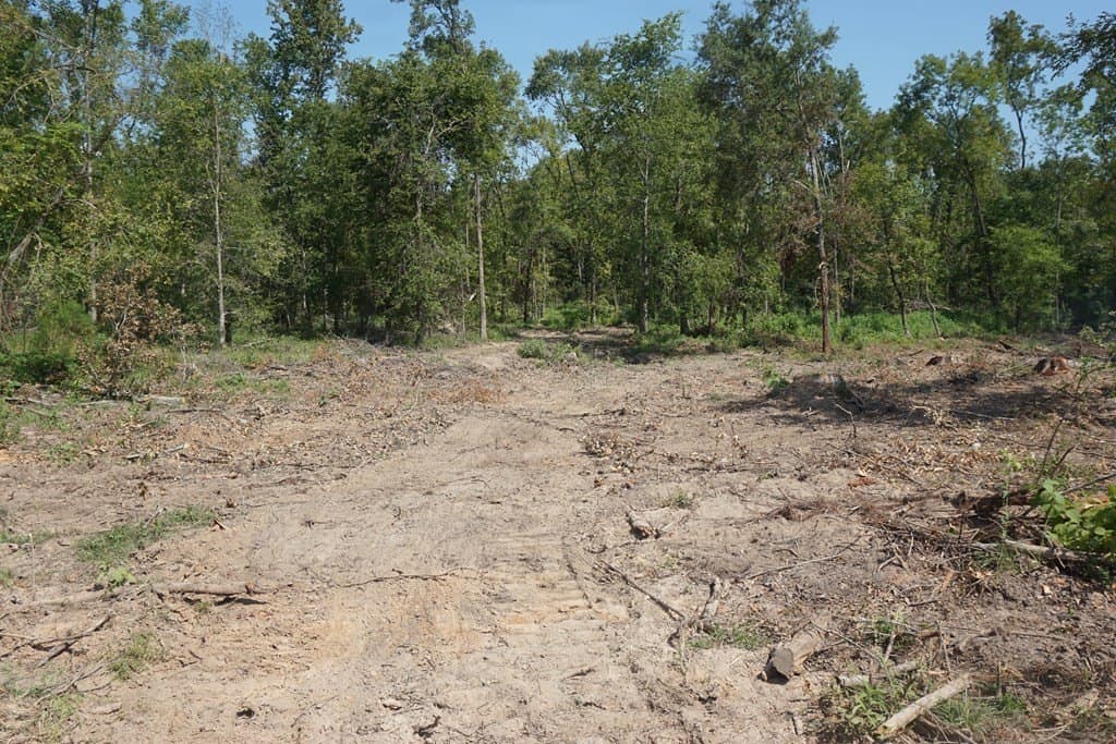 5.07 acres in ANDERSON County gallery image 2