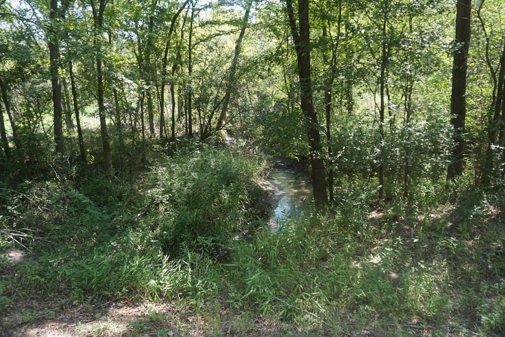 5.07 acres in ANDERSON County - photo 8