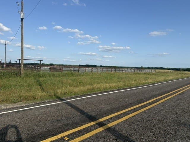 252.81 acres in Fannin County featured view