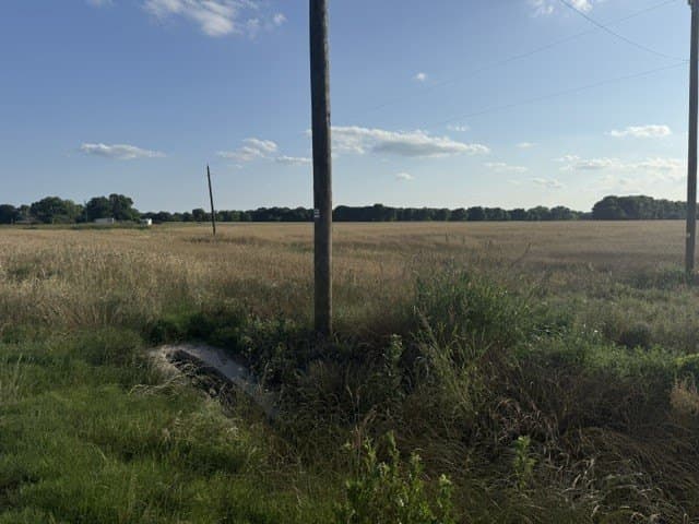 252.81 acres in Fannin County gallery image 4