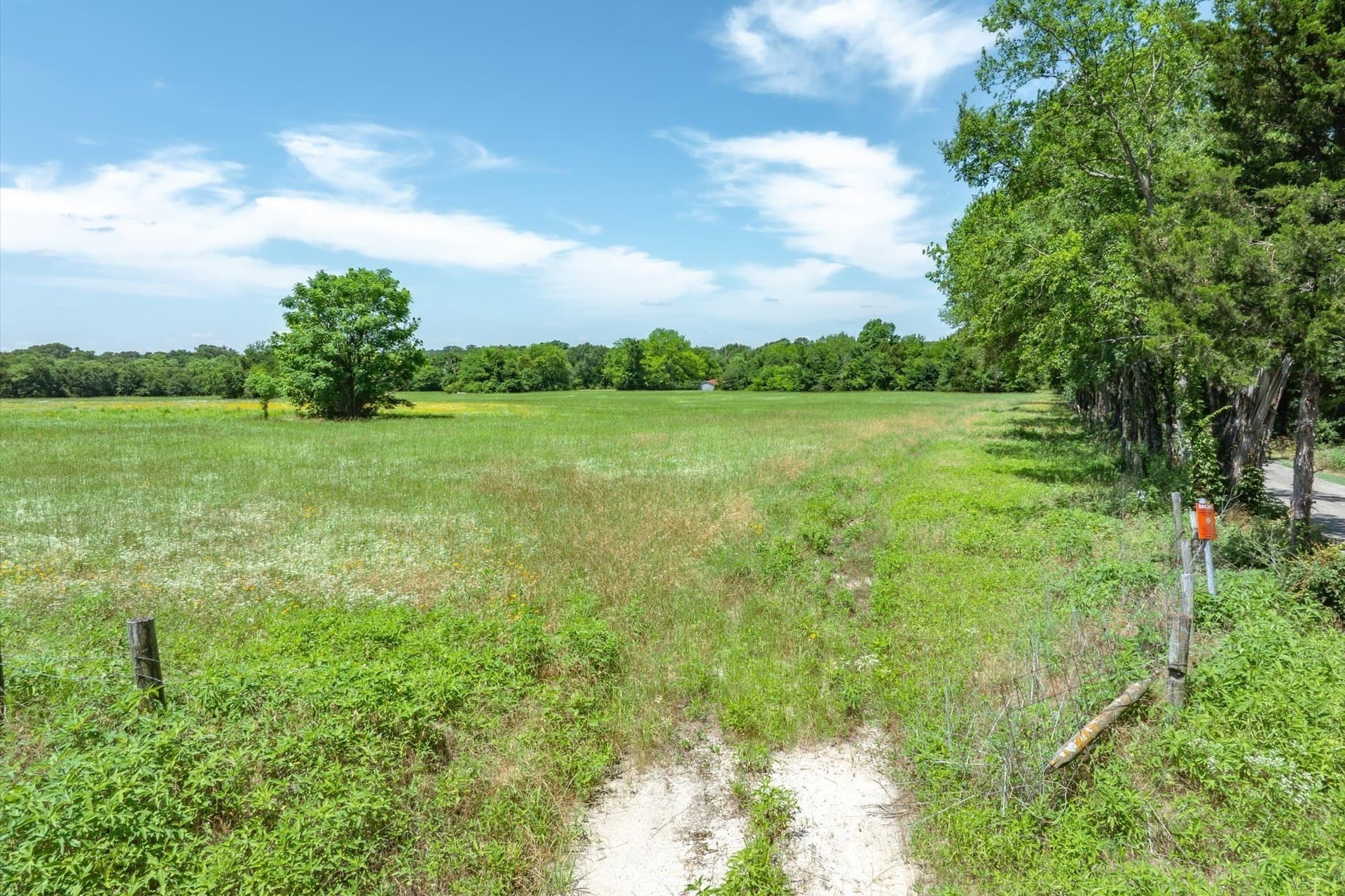 16.2 acres in Rains County - photo 10