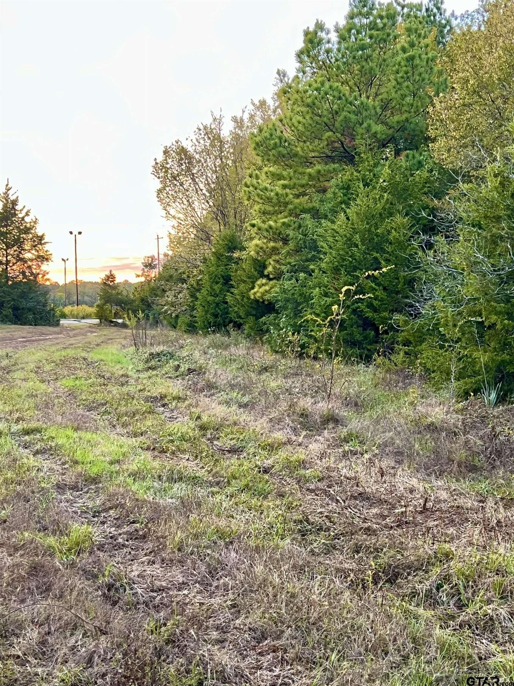 200.21 acres in Cass County gallery image 3