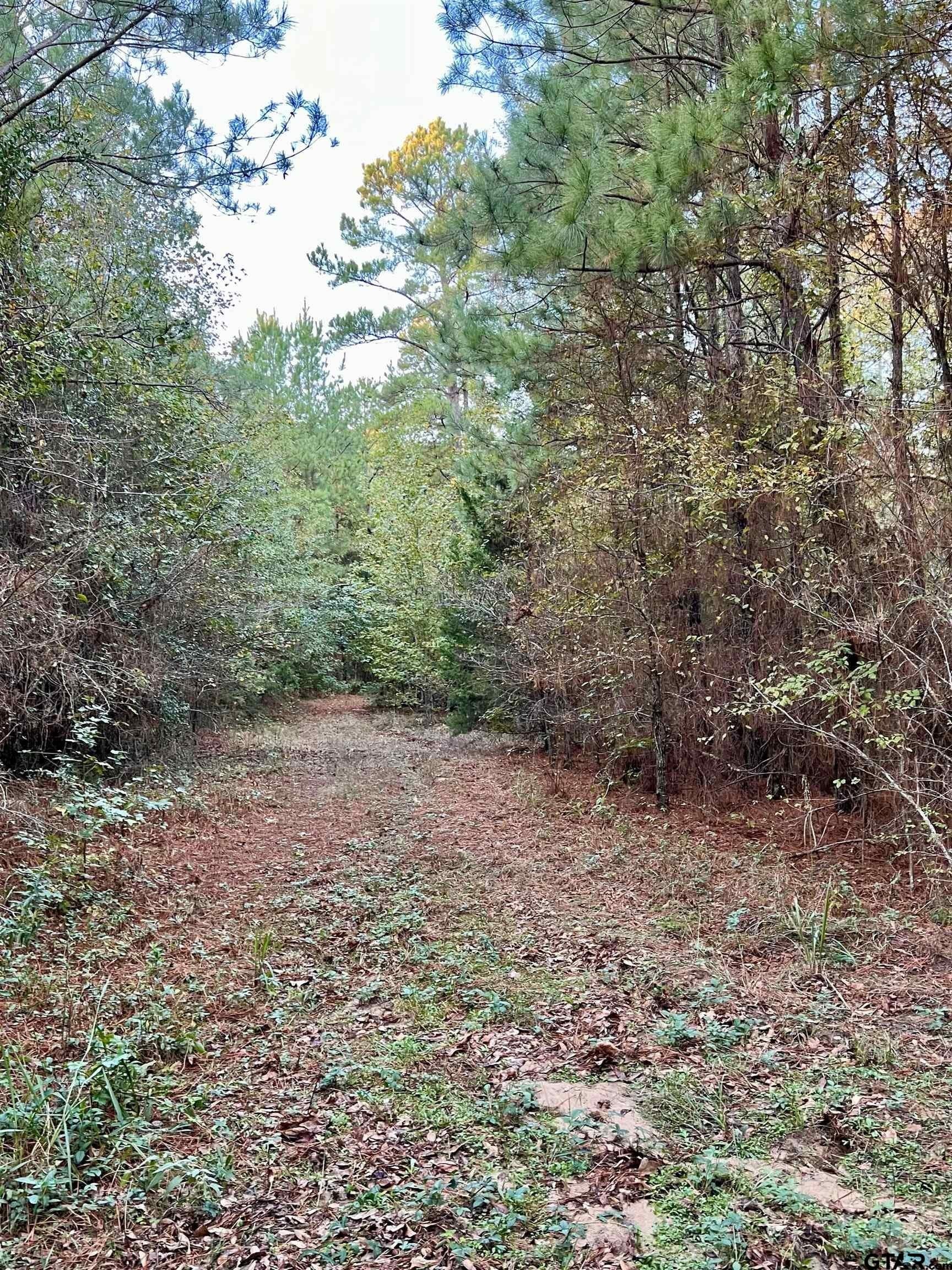 200.21 acres in Cass County featured view
