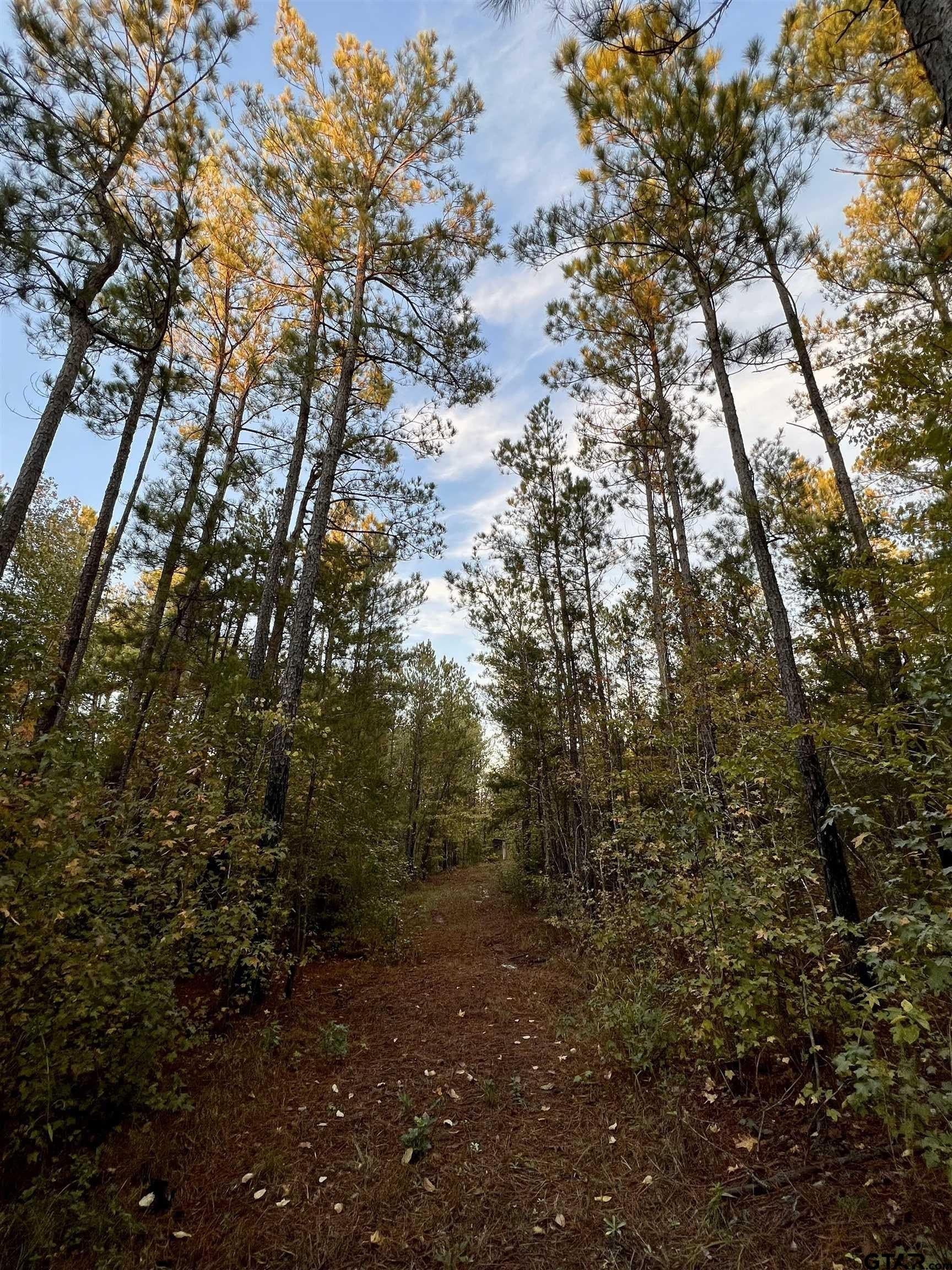 200.21 acres in Cass County gallery image 4