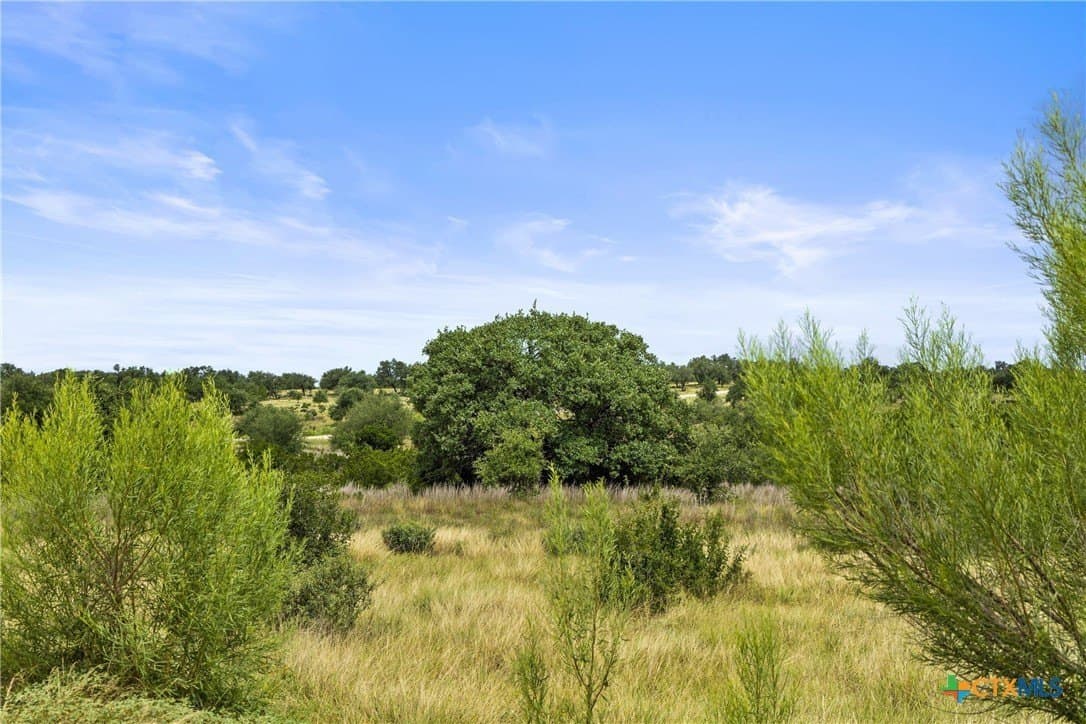 7.53 acres in Blanco County - photo 16