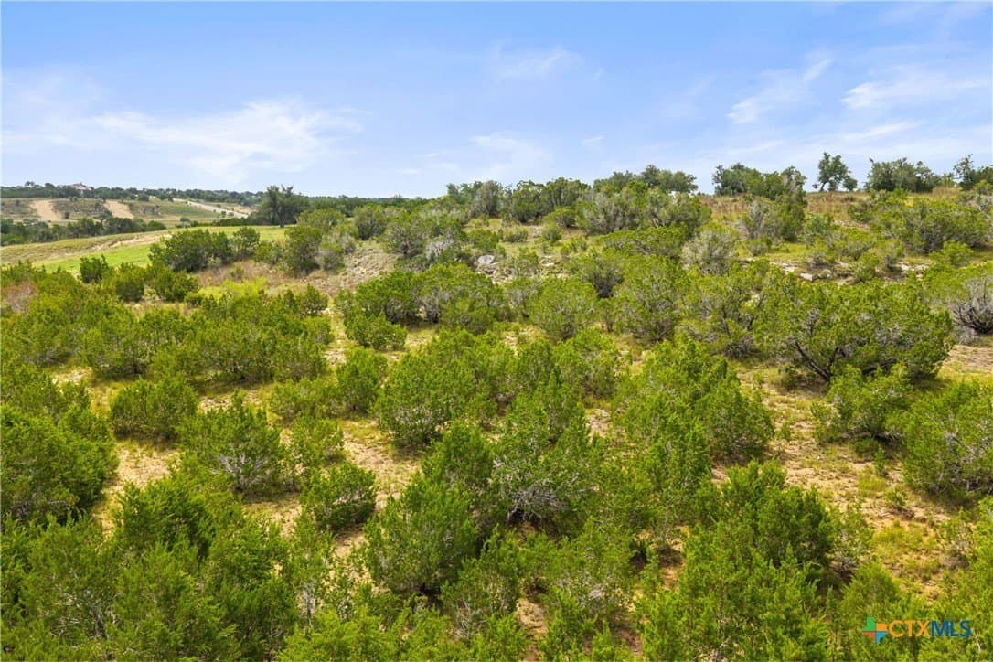 7.53 acres in Blanco County - photo 14