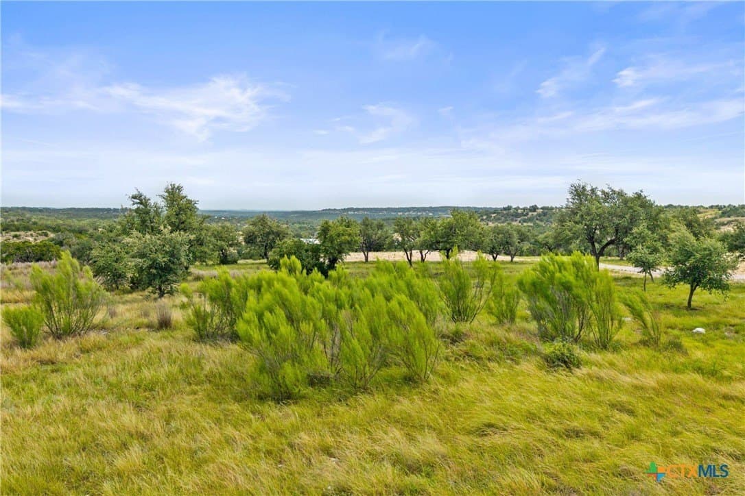 7.53 acres in Blanco County - photo 8