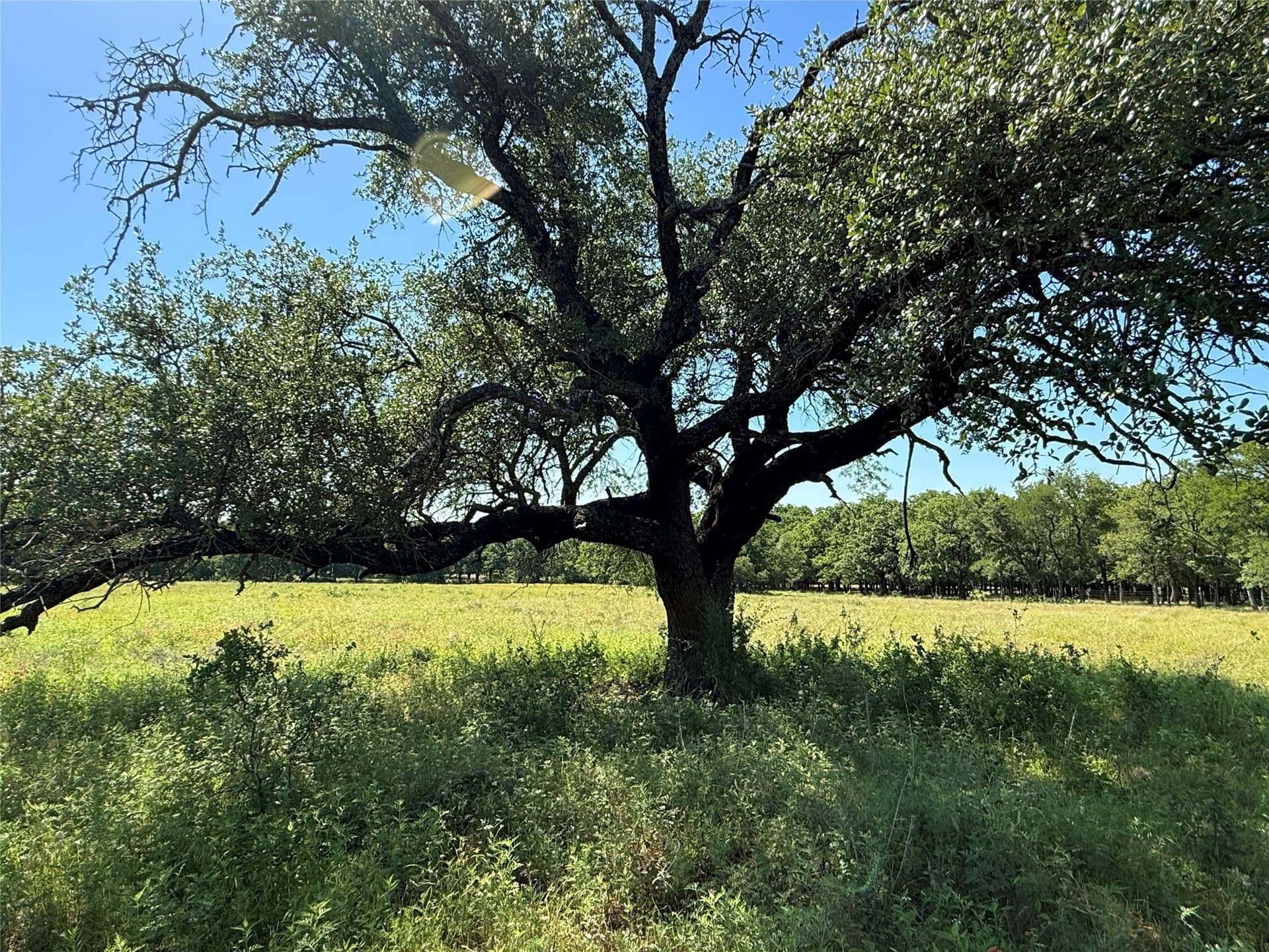 12 acres in Hamilton County - photo 12