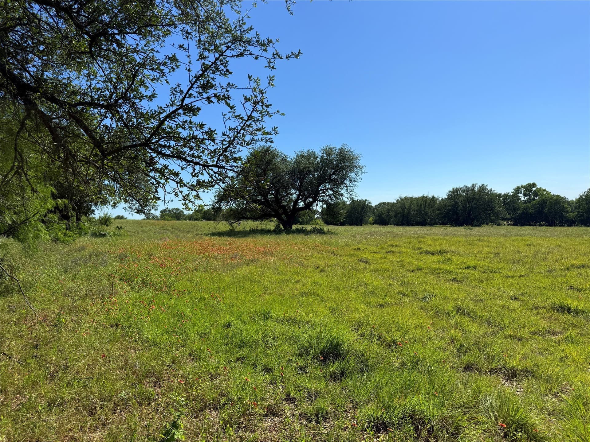 12 acres in Hamilton County - photo 15