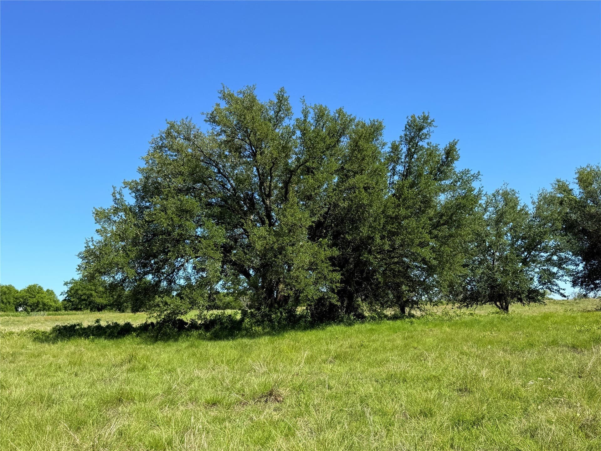 12 acres in Hamilton County - photo 19