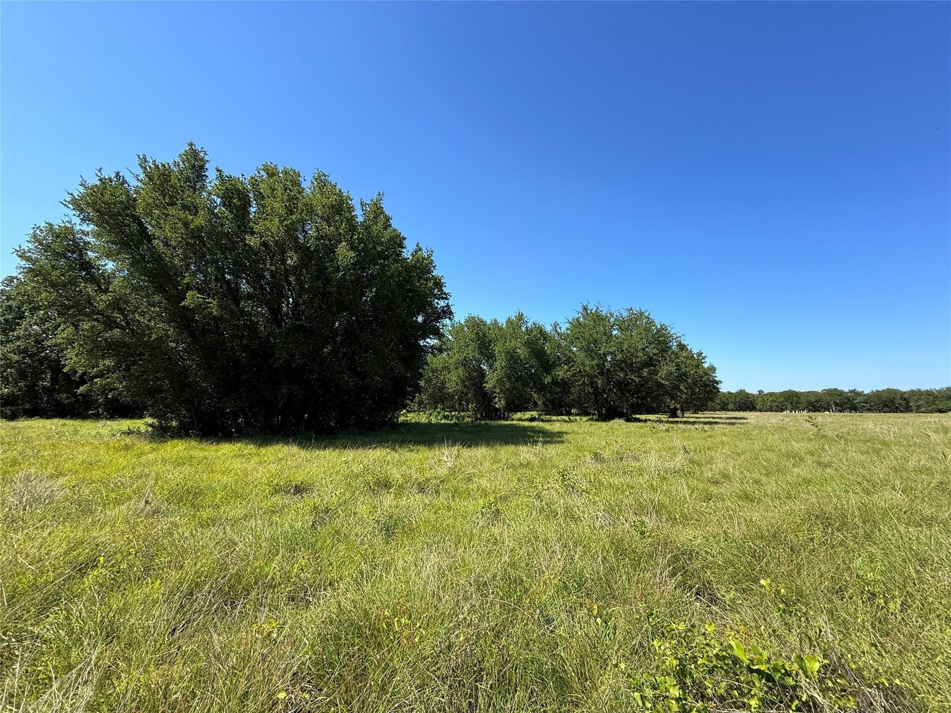 12 acres in Hamilton County - photo 23