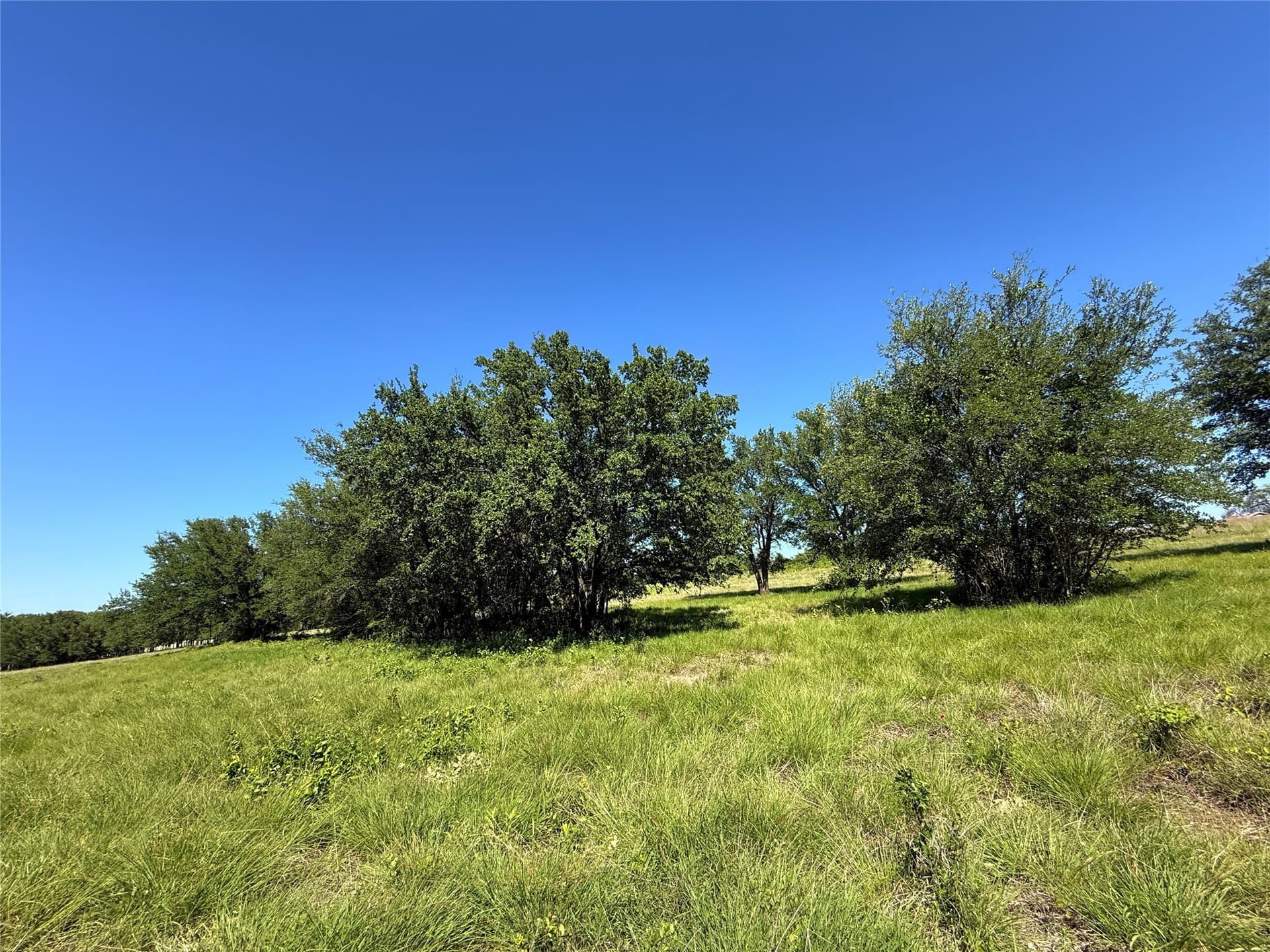 12 acres in Hamilton County - photo 20