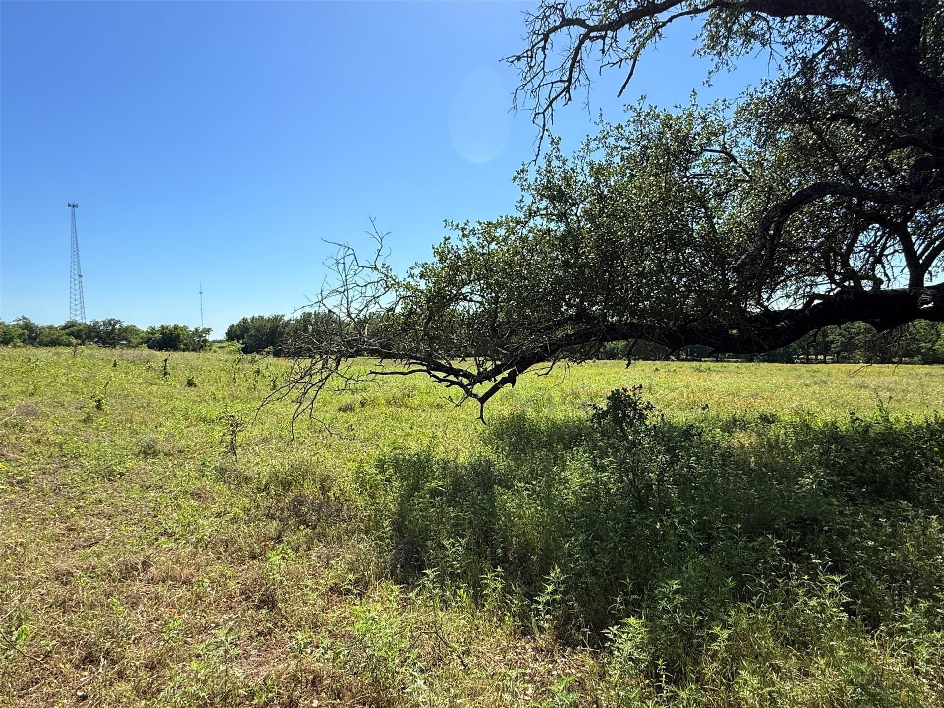 12 acres in Hamilton County - photo 28