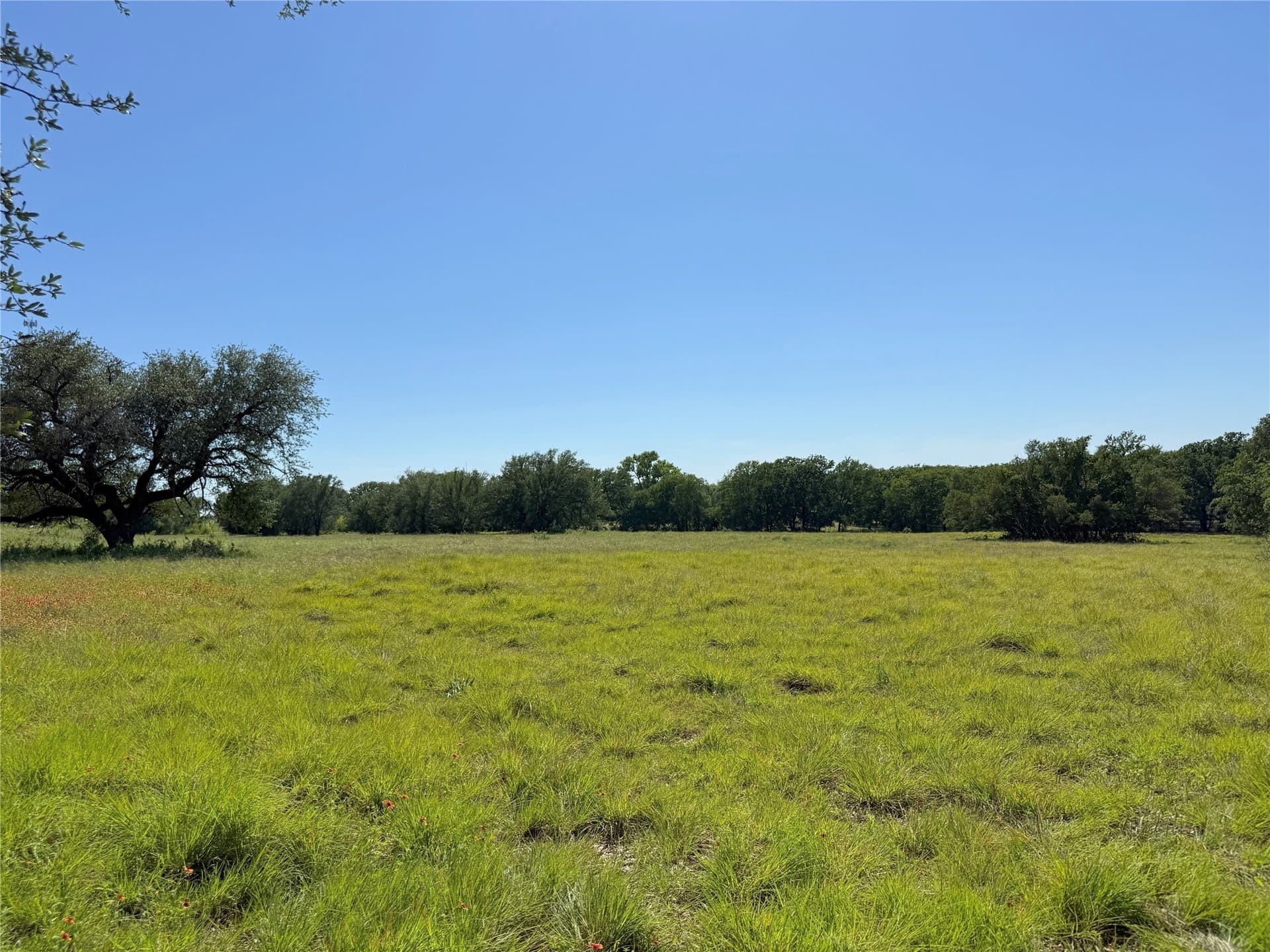 12 acres in Hamilton County - photo 16