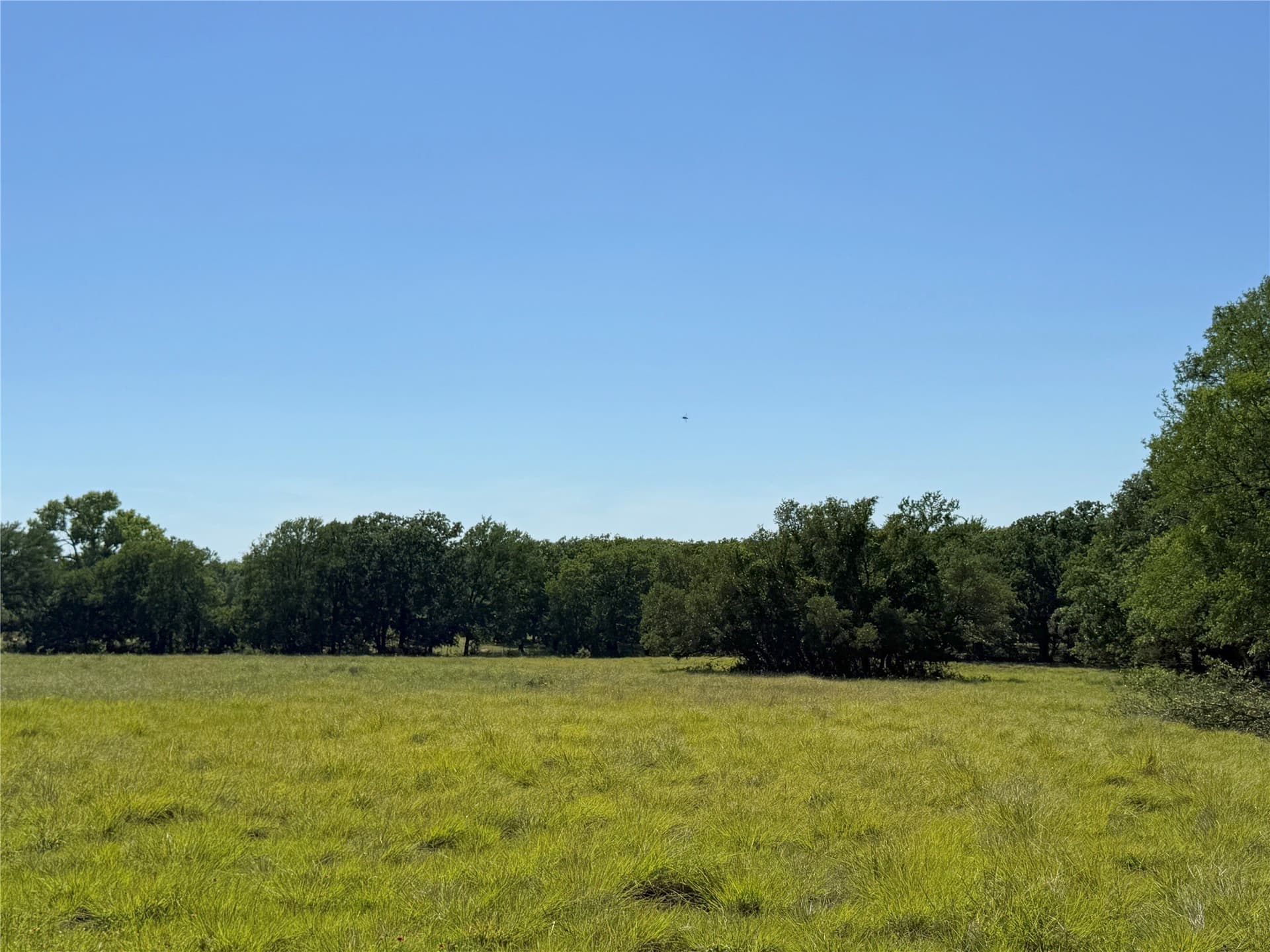 12 acres in Hamilton County - photo 17